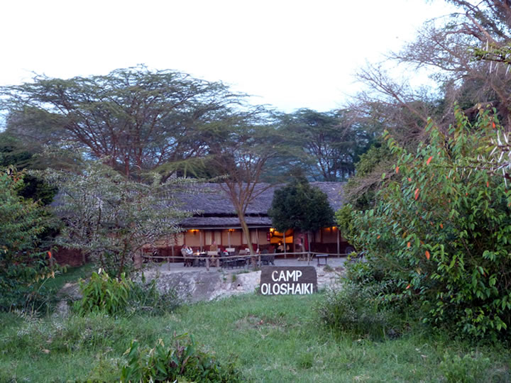 Oloshaiki camp Masai Mara safari